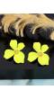 Crunchy Fashion Golden Yellow Crystal  Hand Curved Flower Stud Earrings CFE1802