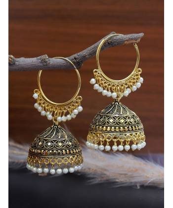 Gold-Plated  Elegant Hoop Earrings RAE1651