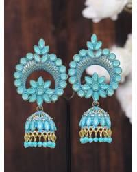 Buy Online Royal Bling Earring Jewelry Gold-plated Studded Peacock Style Jhumka Earrings RAE1669 Jewellery RAE1669