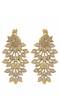 Oxidized Gold-Plated Traditional Grey Peacock Dangler Design Earrings RAE1992