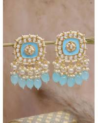 Buy Online Crunchy Fashion Earring Jewelry Brown & WhiteCrystal Studded Alloy Earrings Jewellery CMB0131