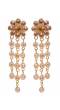 Crunchy Fashion Gold Tone Sparkling Crystals Fashion Forward Tassel Earring RAE2245