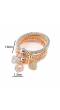 Austrian Diamond Herats Charms bracelet Set