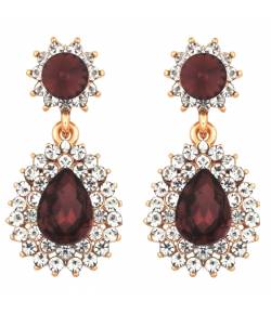 Embellished Brown Crystal Drop Earrings