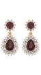 Embellished Brown Crystal Drop Earrings