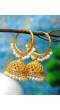 Traditional Gold Plated White Pearls Jhumka Jhumki Earrings RAE0682