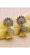 Gold-Plated Multicolor peacock Jhumka Earrings RAE1070 