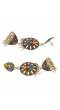 Gold-plated Multi color  Dangler Jhumka Earrings  RAE1186